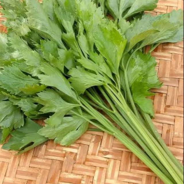 

Daun seledri bandung 100 gram