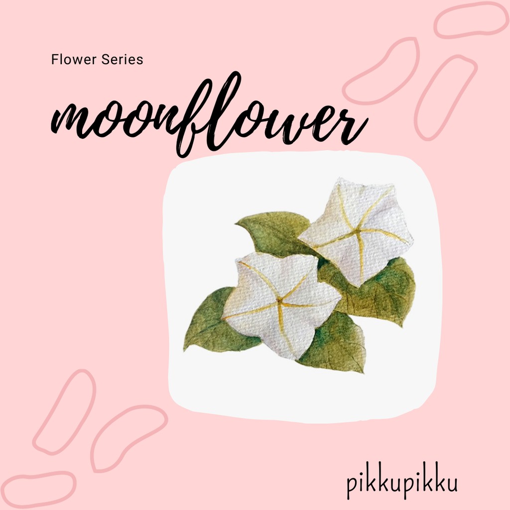 

MOONFLOWERS FLOWER SERIES STICKER | STICKER AESTHETIC LUCU MURAH