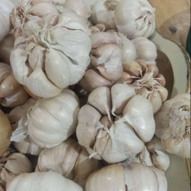 

Bawang Putih 1 KG