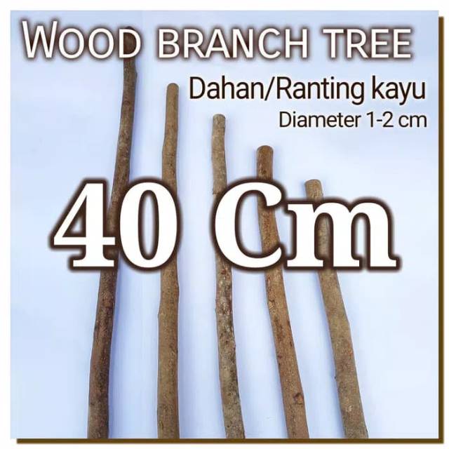 Wood Branch Tree 1-2x40 Cm Dahan kayu potongan kayu bahan craft dekor