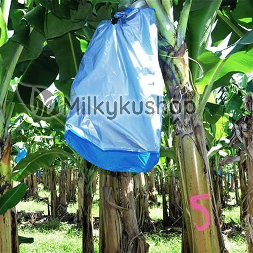 FRUIT COVER HD ROLL BIRU 50 KG PLASTIK METERAN PISANG VIA GOSEND GRAB