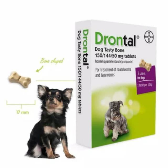 Obat cacing anjing drontal plus dog worm