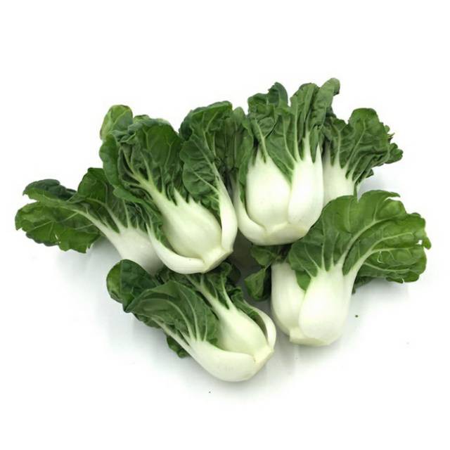 Benih Bibit Biji - Baby Pak Choy Nai Bai / Sawi Bok Choy Mini Sweet &amp; Crunchy Pakcoy / Milk Cabbage Seeds