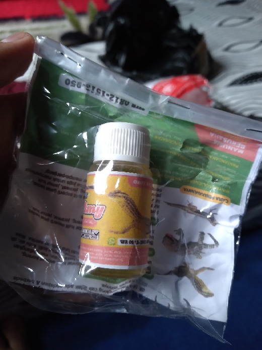 Minyak Biawak Asli Menyembuhkan Gatal Gatal Alergi Dan Luka Bakar 10 Ml Shopee Indonesia