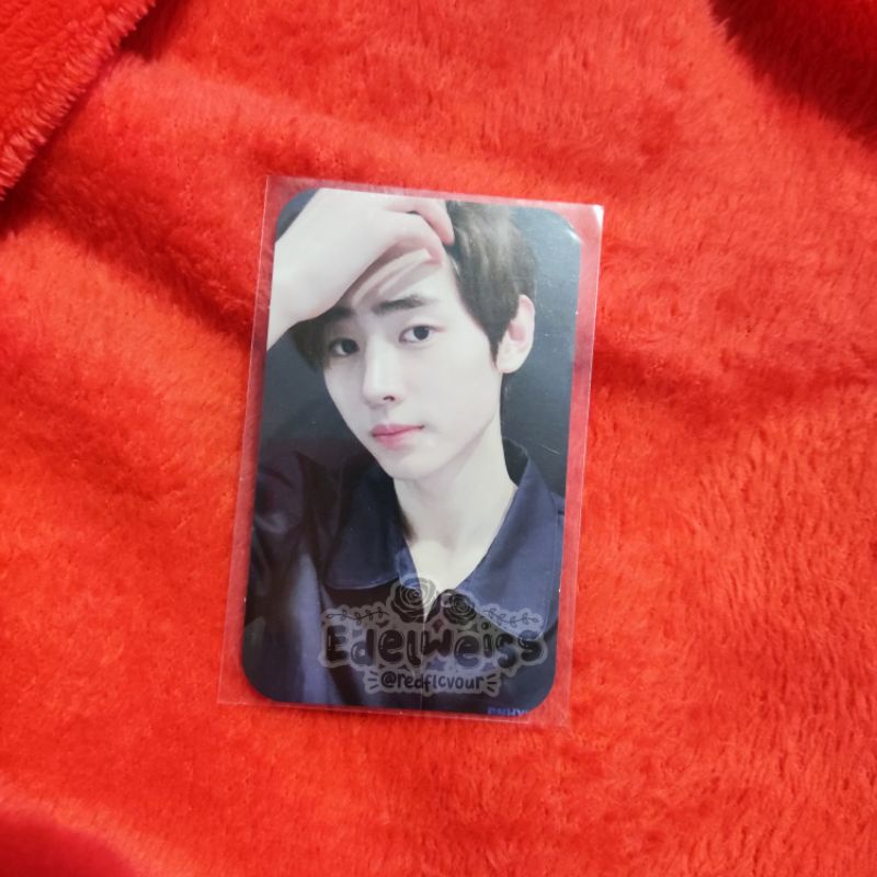 Photocard Sunghoon Enhypen Neck Pillow Global