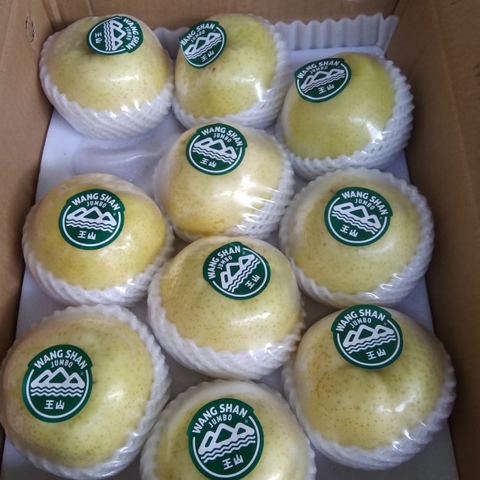 

PEAR GOLDEN WANG SHAN FRESH IMPORT PER DUS