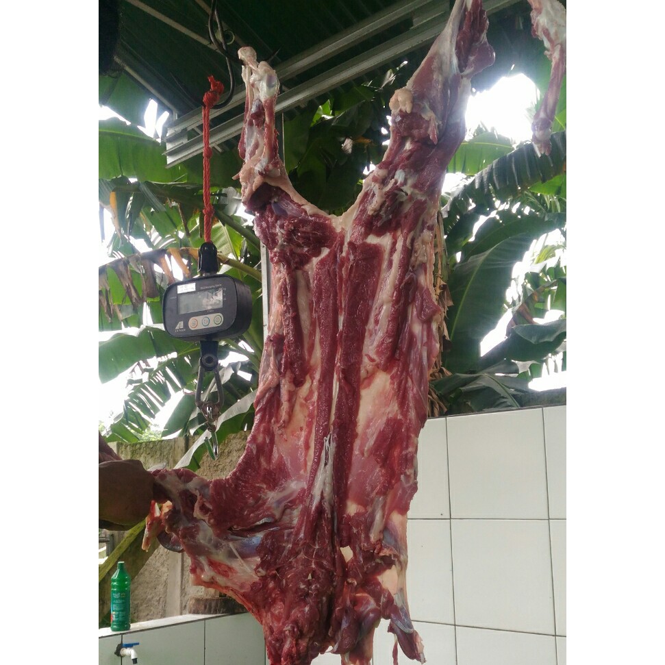 

Daging Domba atau Kambing 500 Gram