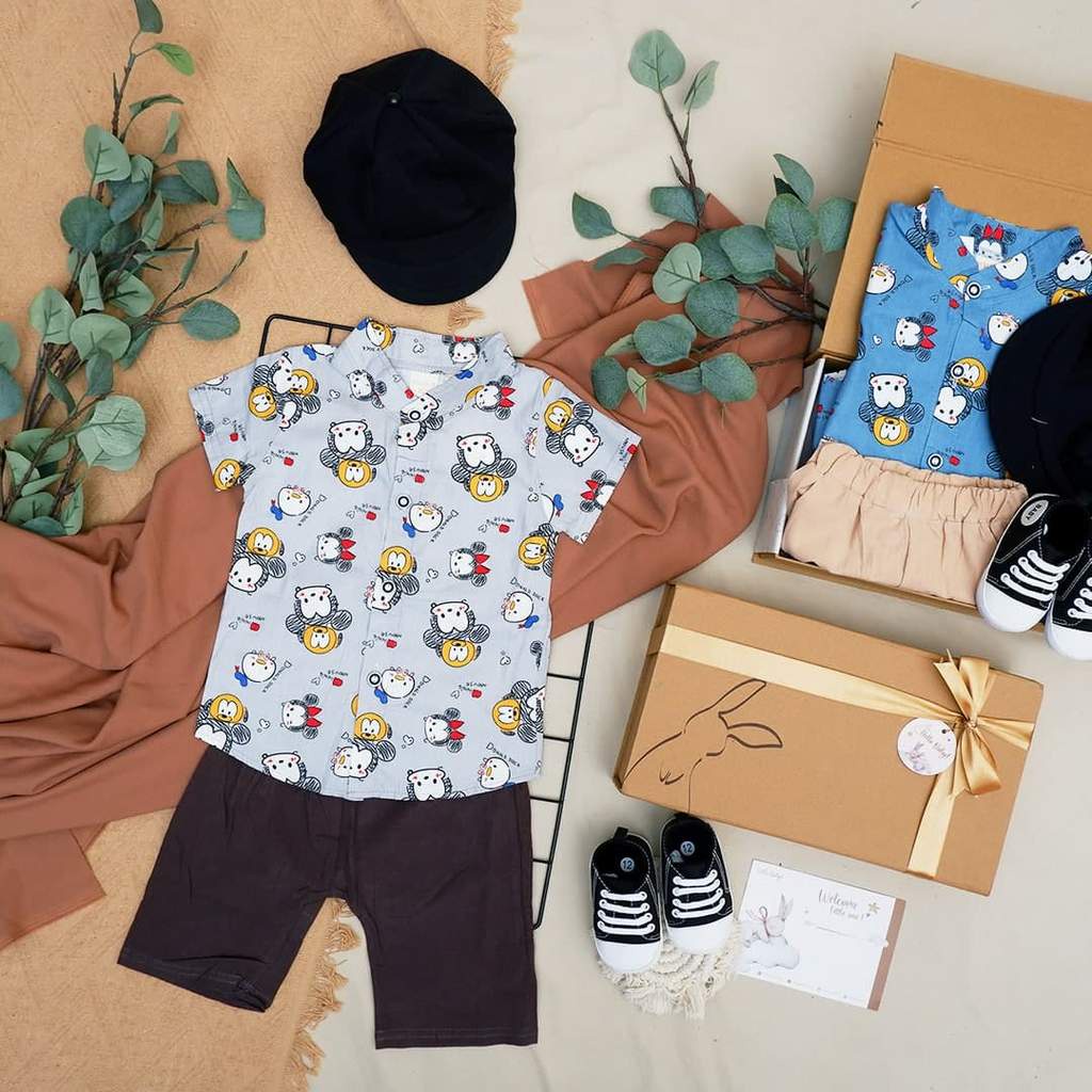 LIO036 Boys Baby Hampers 0-12 months/ Hampers bayi newborn/ Kado bayi/ baby boys gift set-Parves Grey
