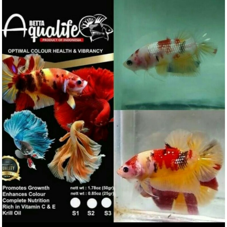 Pelet Ikan Cupang Aqualife Betta Food S2 Premium