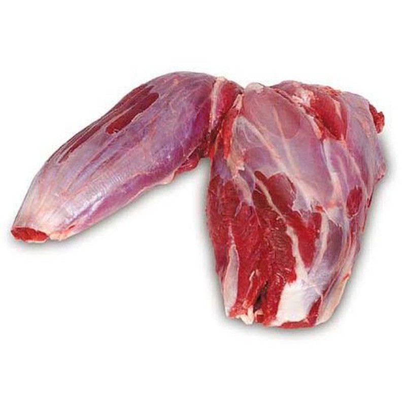 

SENGKEL SAPI / SHANK