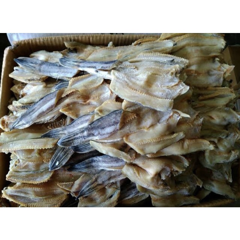 

ikan asin gabus