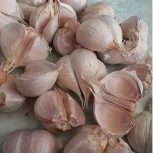 250gr| Bawang Putih Kating | Garlic | Bumbu dapur asli alami herbal penyedap masakan rempah