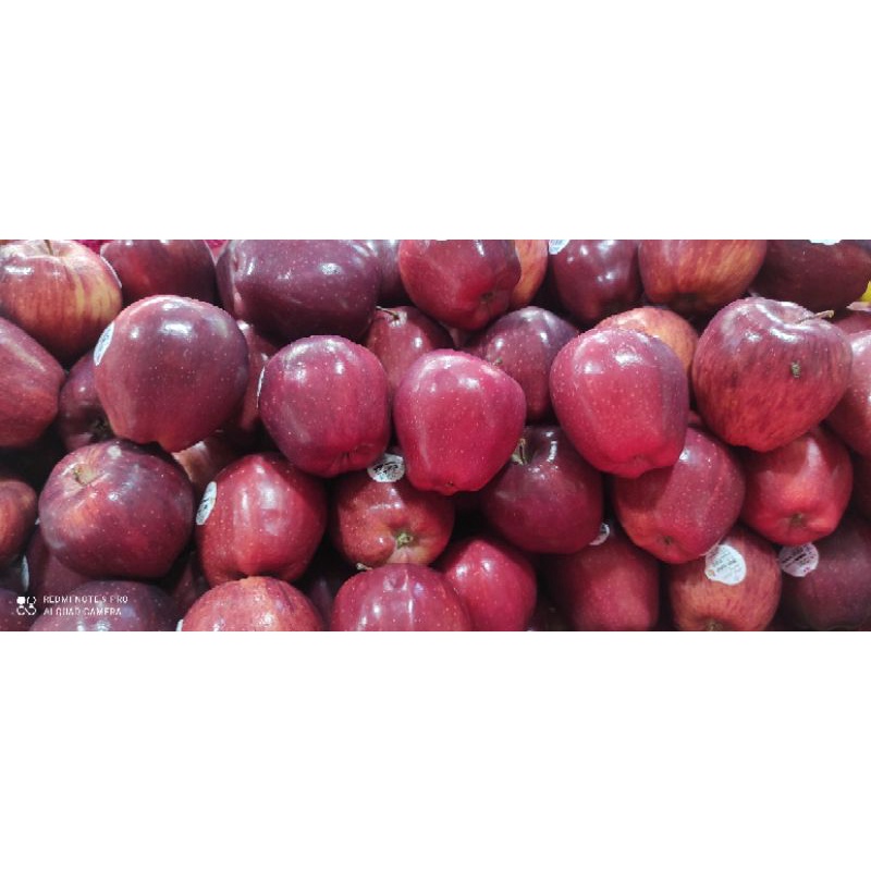 

Apel Merah