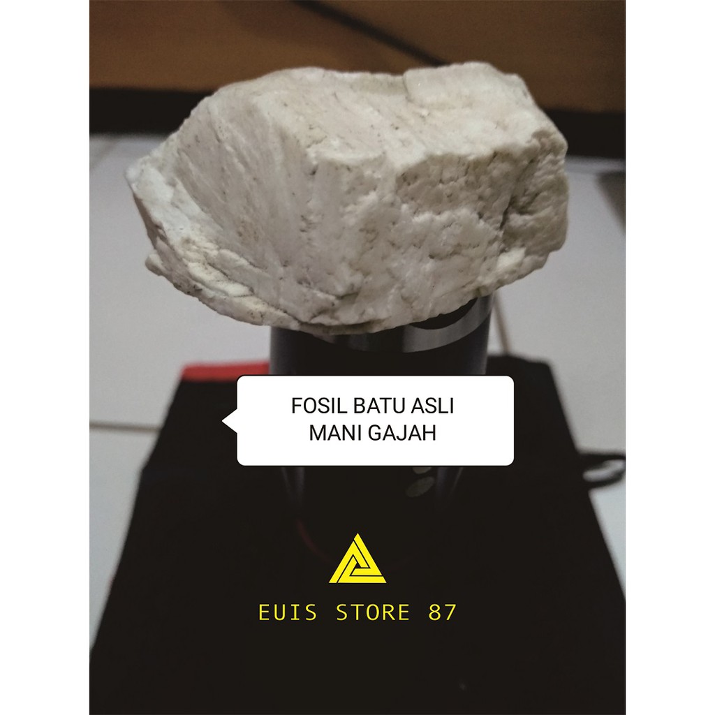 FOSIL BATU MANI GAJAH PUTIH(BONUS MINYAK BUKA AURA WAJAH & TUBUH DALAM KEMASAN)