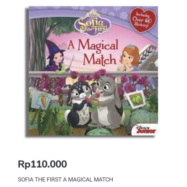 BBW Book Sofia The First Magical Match