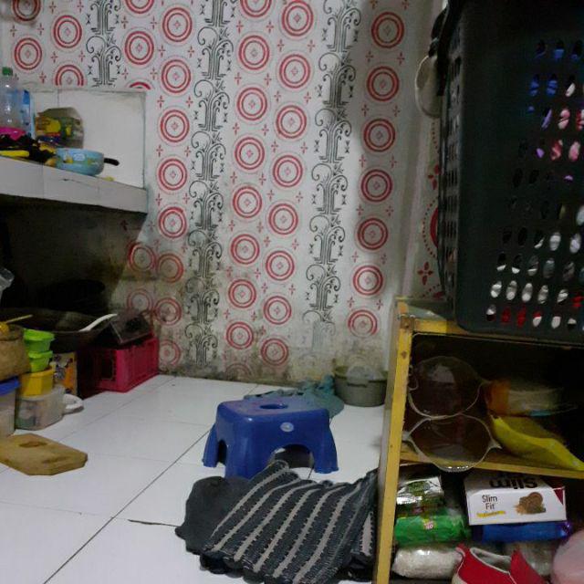 Sikat Orlando /sikat Kamar Mandi