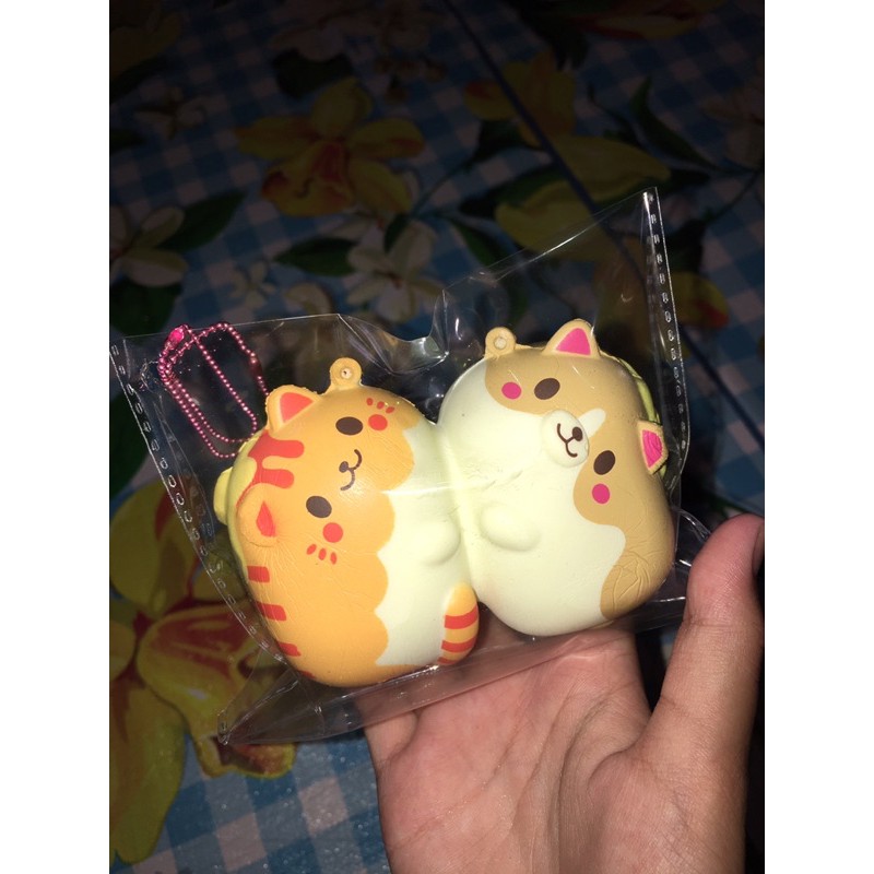 ibloom sharebread cat n dog