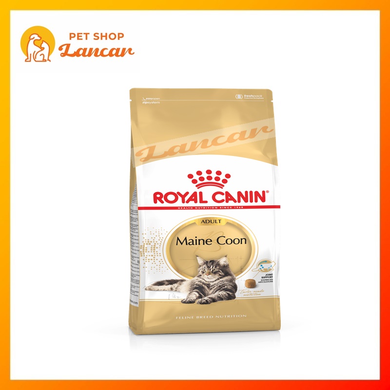 ROYAL CANIN ADULT MAINE COON / MAINECOON 4KG FRESHPACK