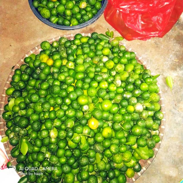 

Jeruk limo/jeruk sambel fresh