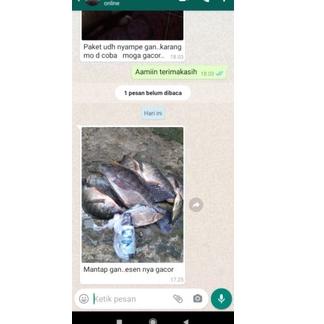 Harga Spesial.. Essen Pancing GO Strike