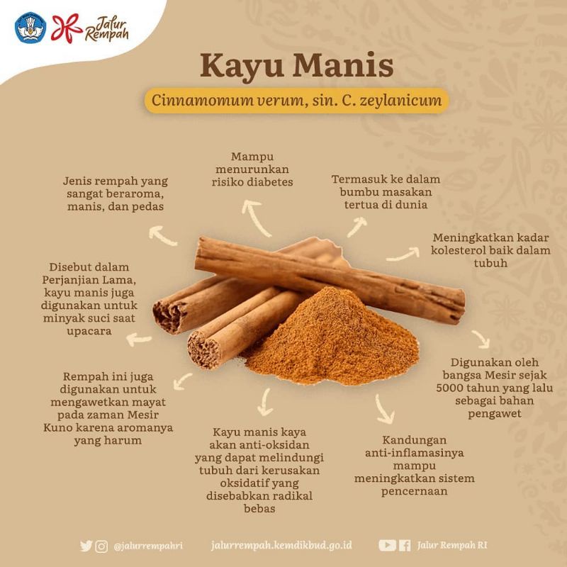 Bibit Tanaman Herbal Kayu Manis Terlaris