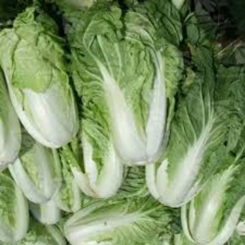 

sawi putih/1kg