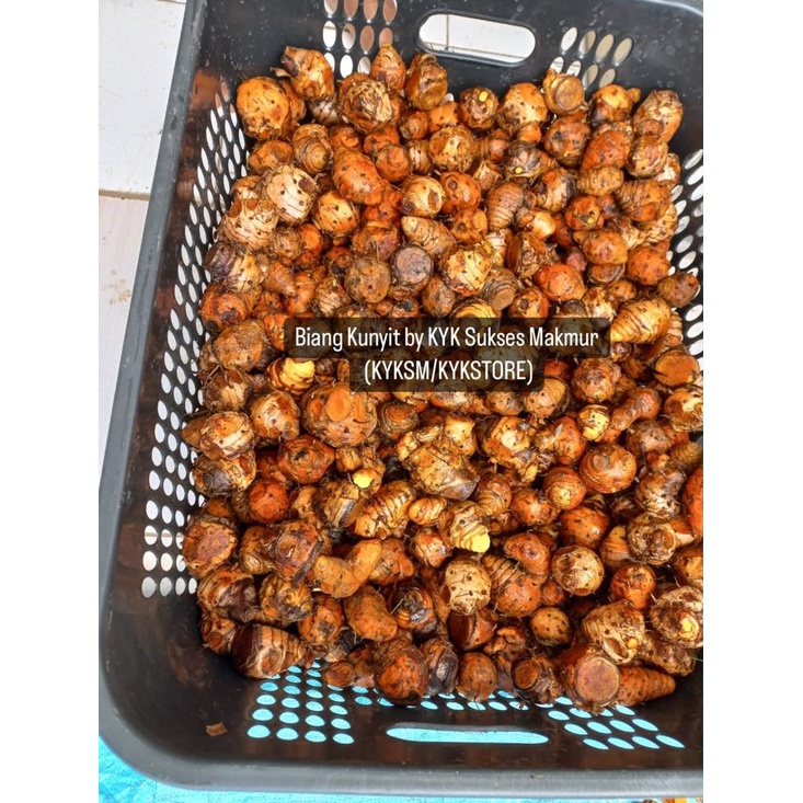 

NG BIANG/EMPU/INDUK Kunyit Bubuk PREMIUM