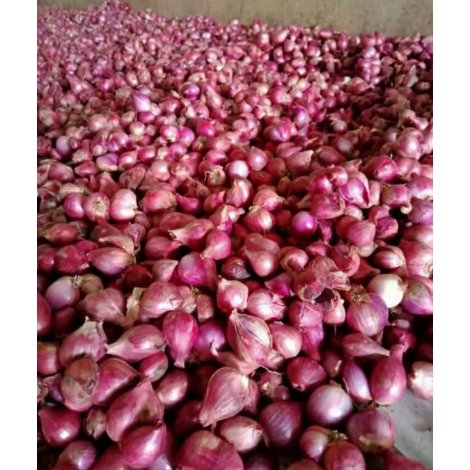 

bawang merah 1 kg
