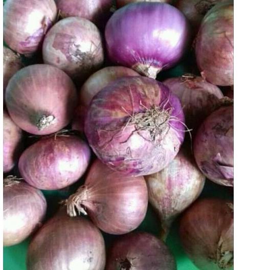 

Terbaik bawang merah india 1 kg ン