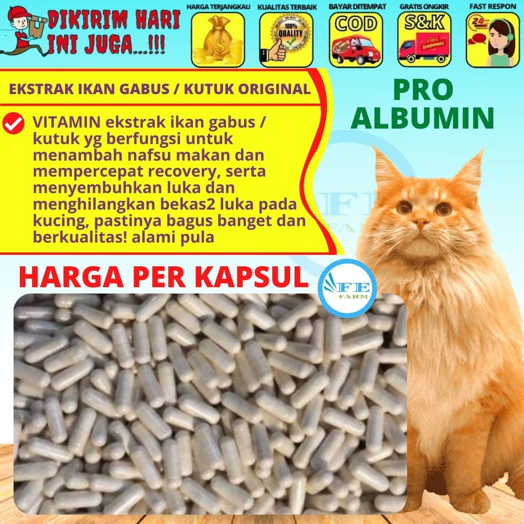 Suplemen Vitamin Penyembuh Luka Kucing PRO ALBUMIN FEFARM