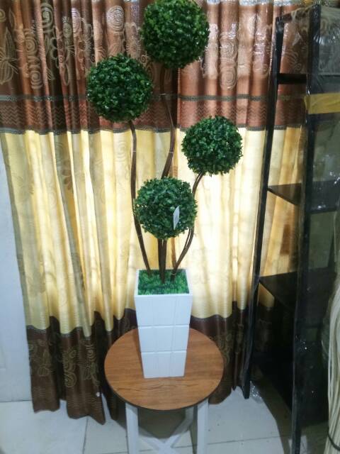 Bonsai sudut/Bola bonsai /grass balldiameter 18 cm/bola bonsai hiasan rumah/bola bola bunga/bunga su