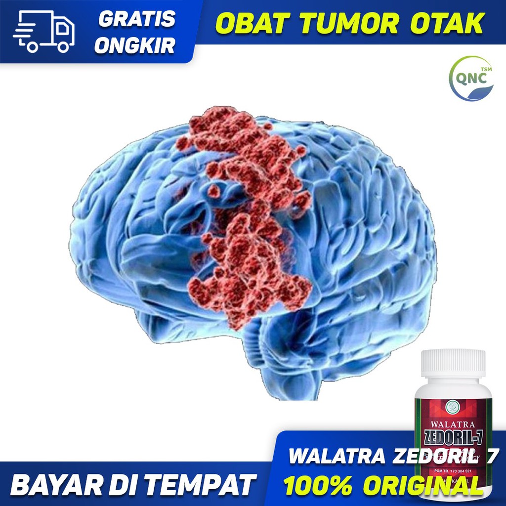 Obat Tumor Otak, Obat Herbal Tumor Otak, Obat Tumor, Obat Herbal Tumor - Walatra Zedoril 7