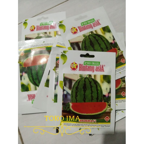 Benih Semangka MADEIRA F1 SMALL 2 gram Bintang asiA