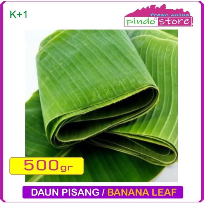 

DAUN PISANG SEGAR