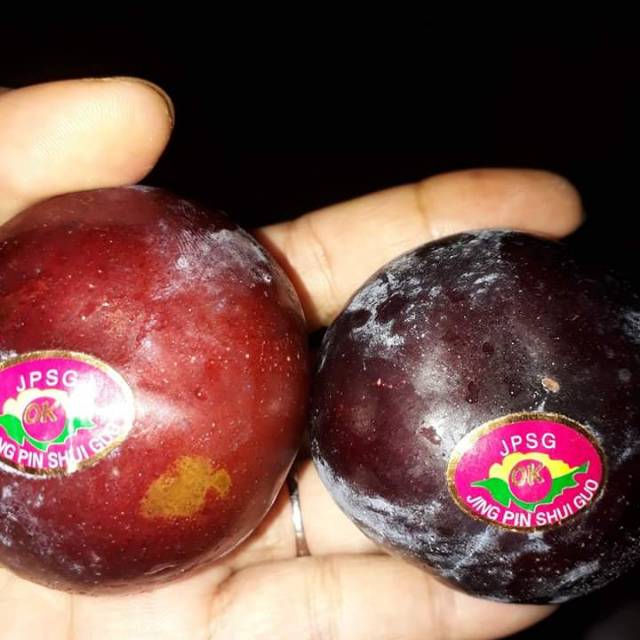 

buah plum