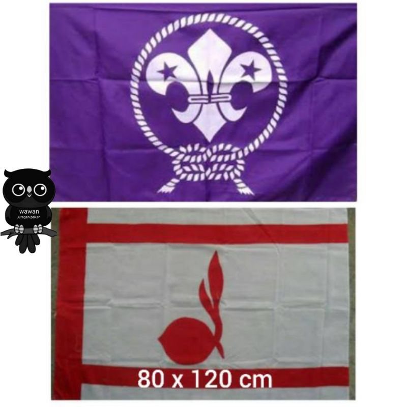 Bendera tunas kelapa ukuran 80 x120  BENDERA PANDU DUNIA bendera pramuka