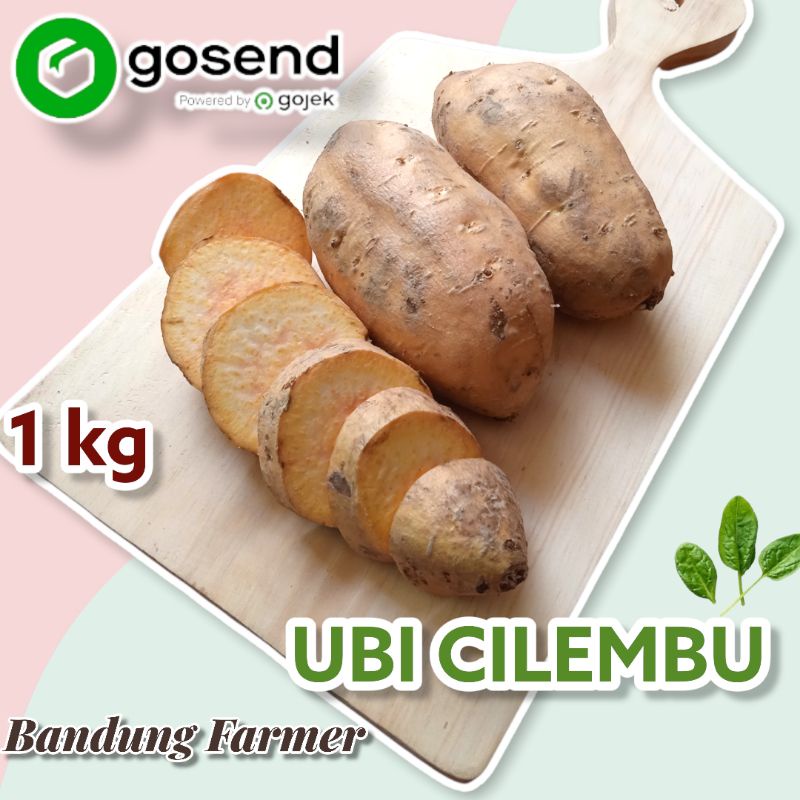 

Ubi madu cilembu manis 1 KG