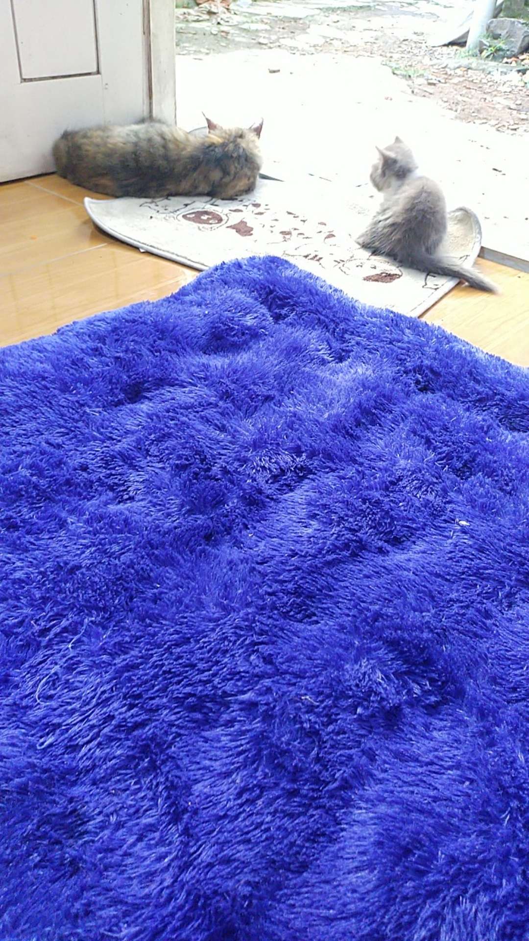 Kemeja Batik Pria Jumbo  M L Xl Xxl Xxxl 3l 4l 5l