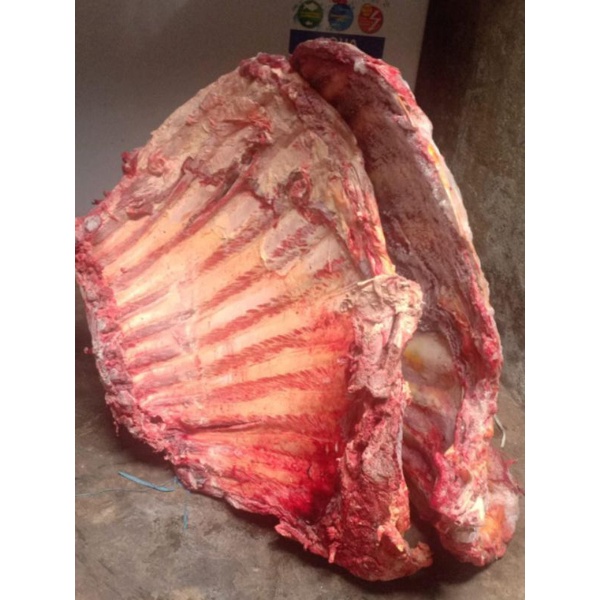 

Iga Sapi Lokal Kualitas Grade A+