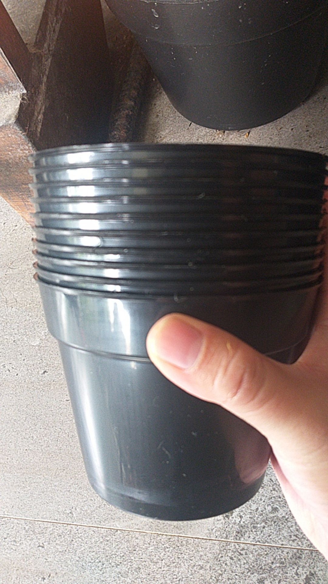 12 Cm Pot Plastik Hitam Gmp