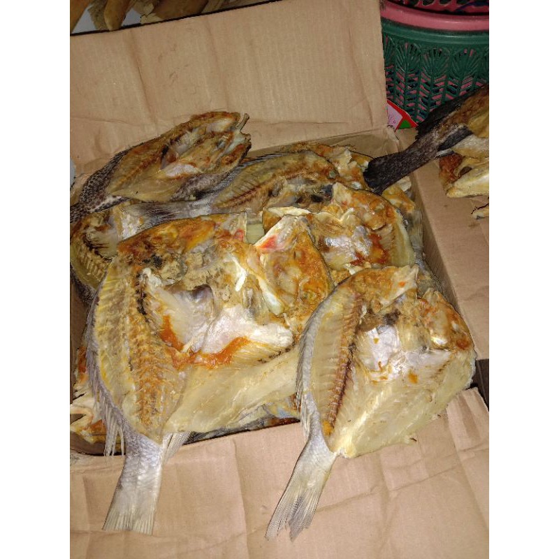 

ikankeringkatamba