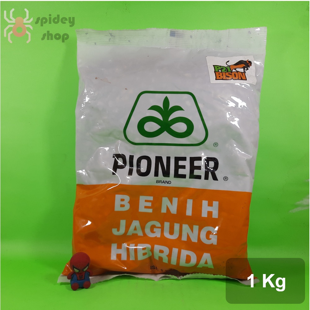 Pioneer P21 1 Kg Benih Jagung Hibrida