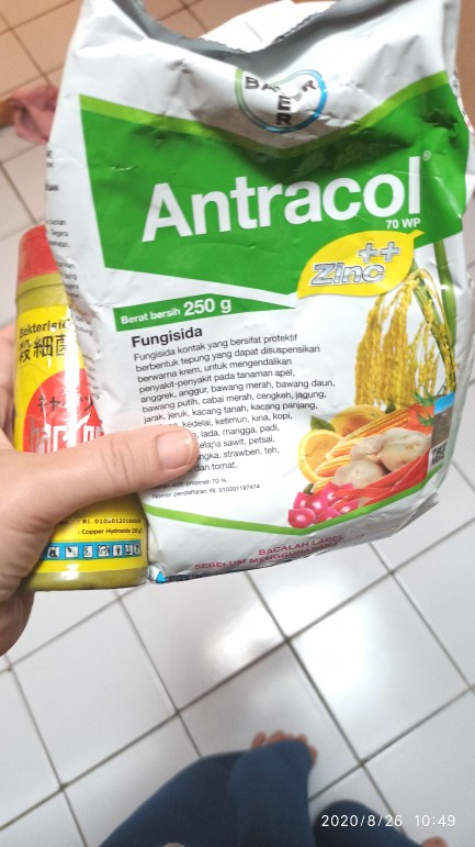Bakterisida Dan Fungisida Bactocyn 150 Al 200ml