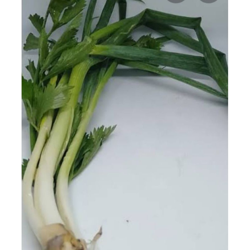 

daun bawang seledri per ikat