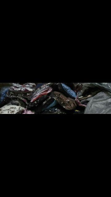 Maura Couple - Sania Ruffle Batik Couple Ori Ndoro Jowi Dnt Garansi Termurah Shopee - Couple 2525