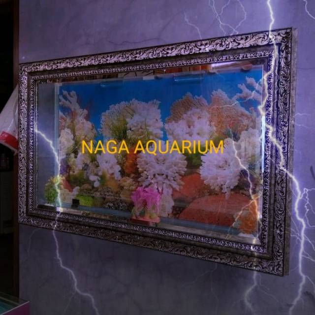 AQUARIUM MURAH AQUARIUM UNIK. AQUARIUM DINDING