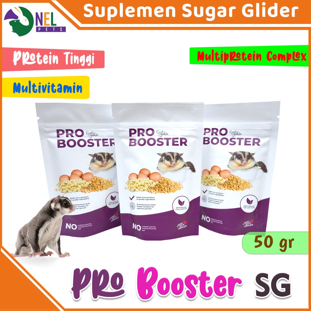 PRO BOOSTER 50 gr/sumber protein sugar glider hamster landak mini/vitamin sugar glider