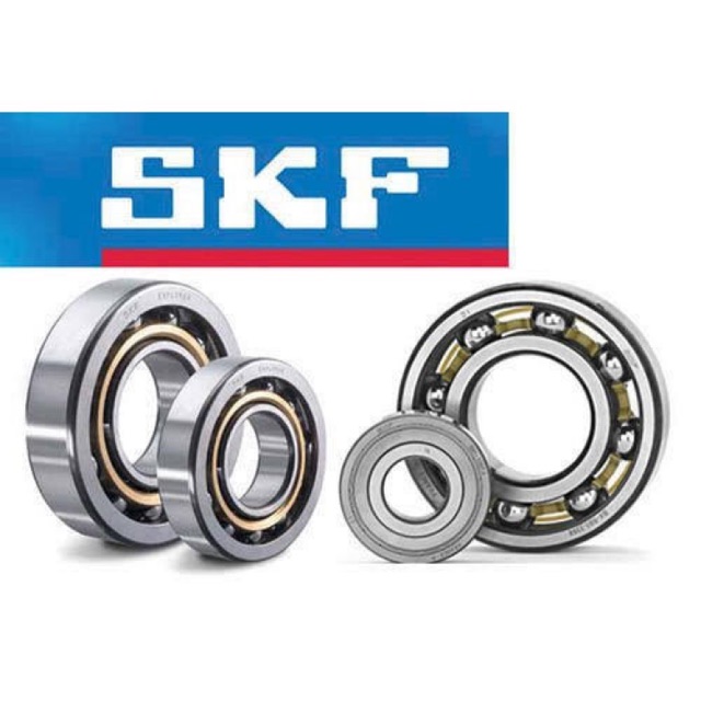 Bearing 6313  "SKF"