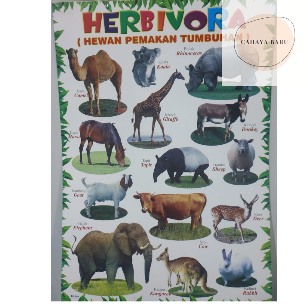 

Poster Edukasi Anak Hewan Pemakan Tumbuhan (Herbivora)