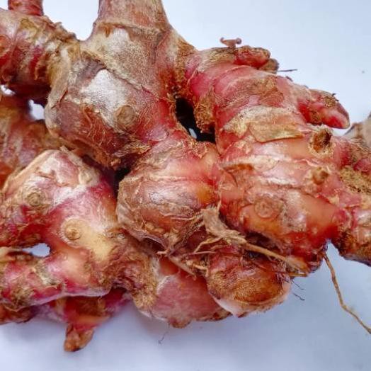 

uaJahe Merah Segar 500 gram ua Cod.e (A09B20)